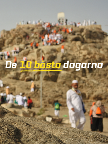 Dhul hijjah 2025 Omslag mobil